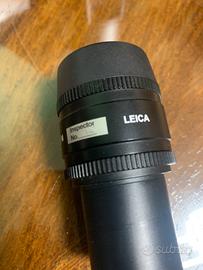 Oculare microscopio Leica
