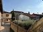 Immagine 8