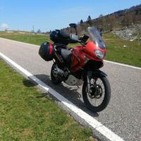 Transalp 650 XLV - 2005 - Pronta al viaggio