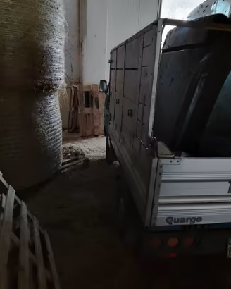 Piaggio quargo 