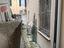 Immagine 21