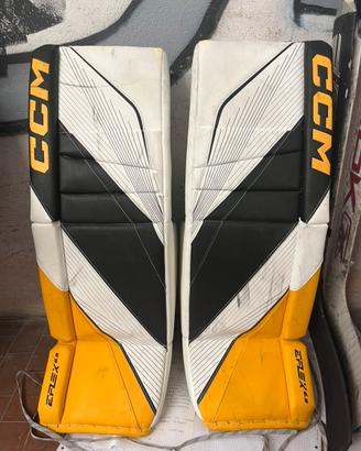 Hockey portiere goalie