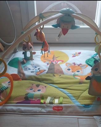 palestrina neonato