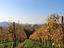 Immagine 22