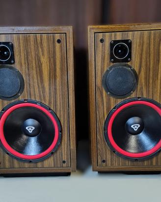 Coppia diffusori Cervin Vega A324