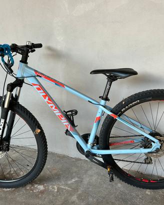 Bici MTB