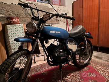 Guzzi cross 50