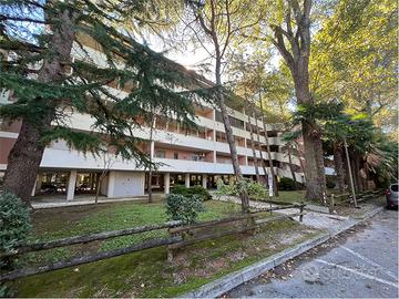 BILOCALE ZONA GRADO PINETA