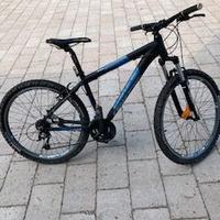 Mountain bike da ragazzo