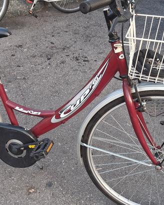 Bici donna 26