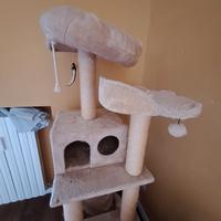 tiragraffi gatti 