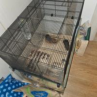 gabbia con vetro roditori