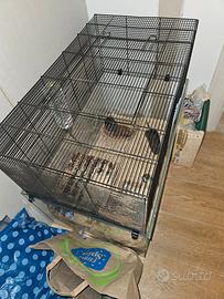 gabbia con vetro roditori