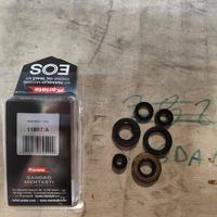 Serie completa paraoli motore minarelli am6