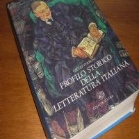 Profilo storico della letteratura italiana