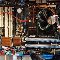 Asus p5wdg2 ws pro scheda madre motherboard