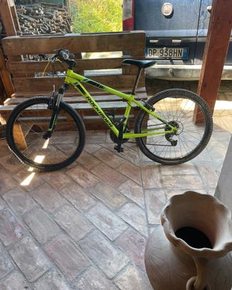 mtb rokrider 24