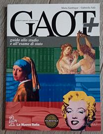 GAOT  guida allo studio e all'esame di stato