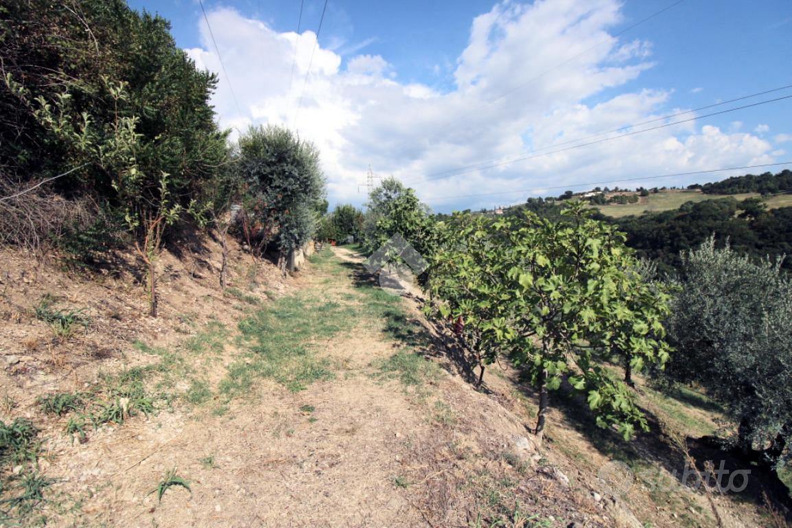 TER. AGRICOLO A SALISANO - Altro