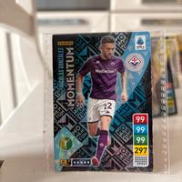 Gonzalez Adrenalin xl 22/23