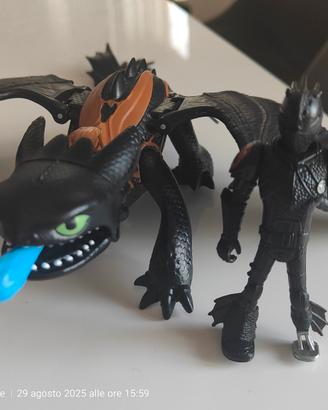 Dragon trainer con personaggio 