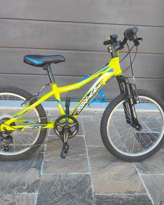 Bibi Bambino MTB SKL Tornado 20''