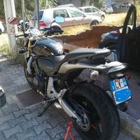 Honda hornet 600