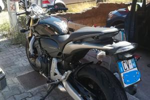 Honda hornet 600
