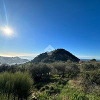 TER. AGRICOLO A BORDIGHERA