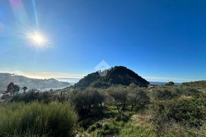 TER. AGRICOLO A BORDIGHERA