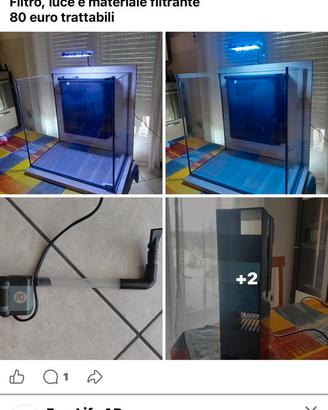 acquario 