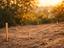 Immagine 10