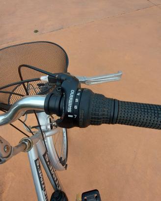 Bibici