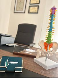 Stanze per PROFESSIONISTI SANITARI