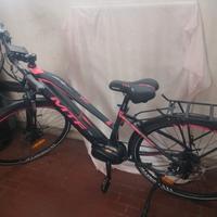 Bici elettrica 