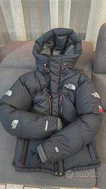 The North Face Himalayan Parka Summit Series 800