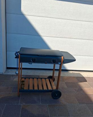 barbecue da esterni