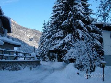 Valle di Fassa 50mt dalla funivia-si cani