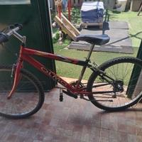 Mtb olmo