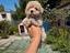 Immagine 6