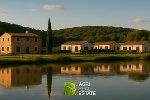 Castelfiorentino (FI) - Terreno con progetto TR413