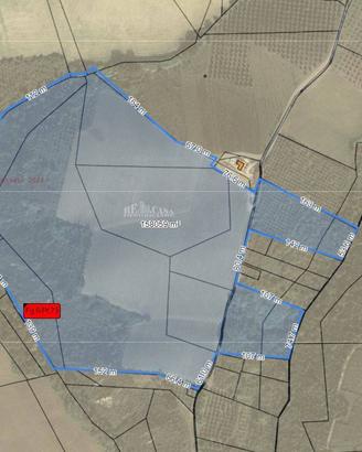 Terreno agricolo - Monteprandone