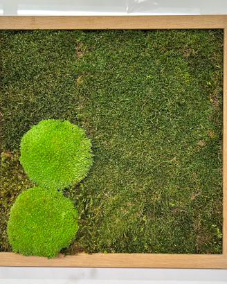 Quadro in verde stabilizzato fatto a mano