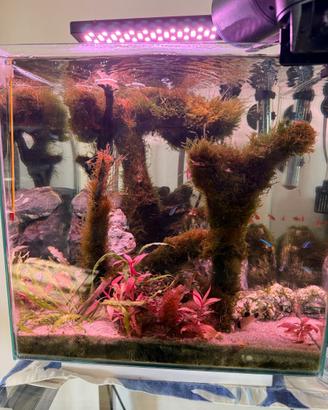 Acquario acqua dolce 28 litri completo