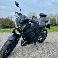 2015 Kawasaki Z300 ABS, patente A2