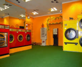 Lavanderia self con immobile