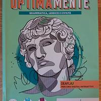 Vocabolario di latino e libri di testo scolastici