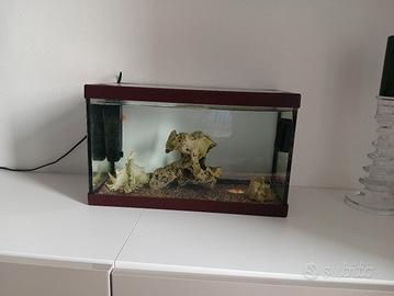 acquario 
