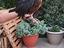 Immagine 4
