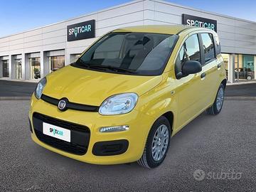 FIAT Pandina 1.0 FireFly 65cv S&S 6m Hybrid Icon